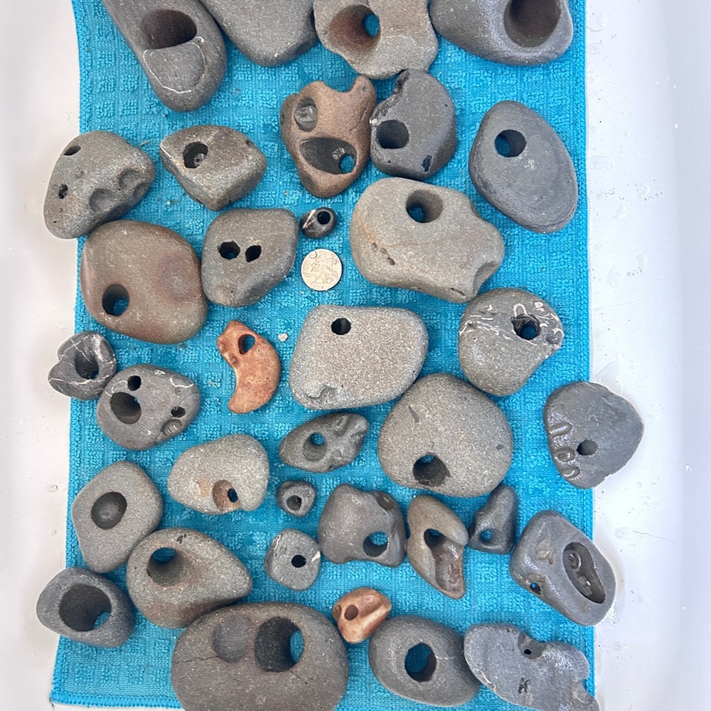 Collection of Natural Hag Stones/ price is for one.